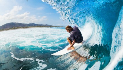 开云体育活动-夏洛特黄蜂宣布新赛季主场装修，夏洛特黄蜂进过季后赛吗