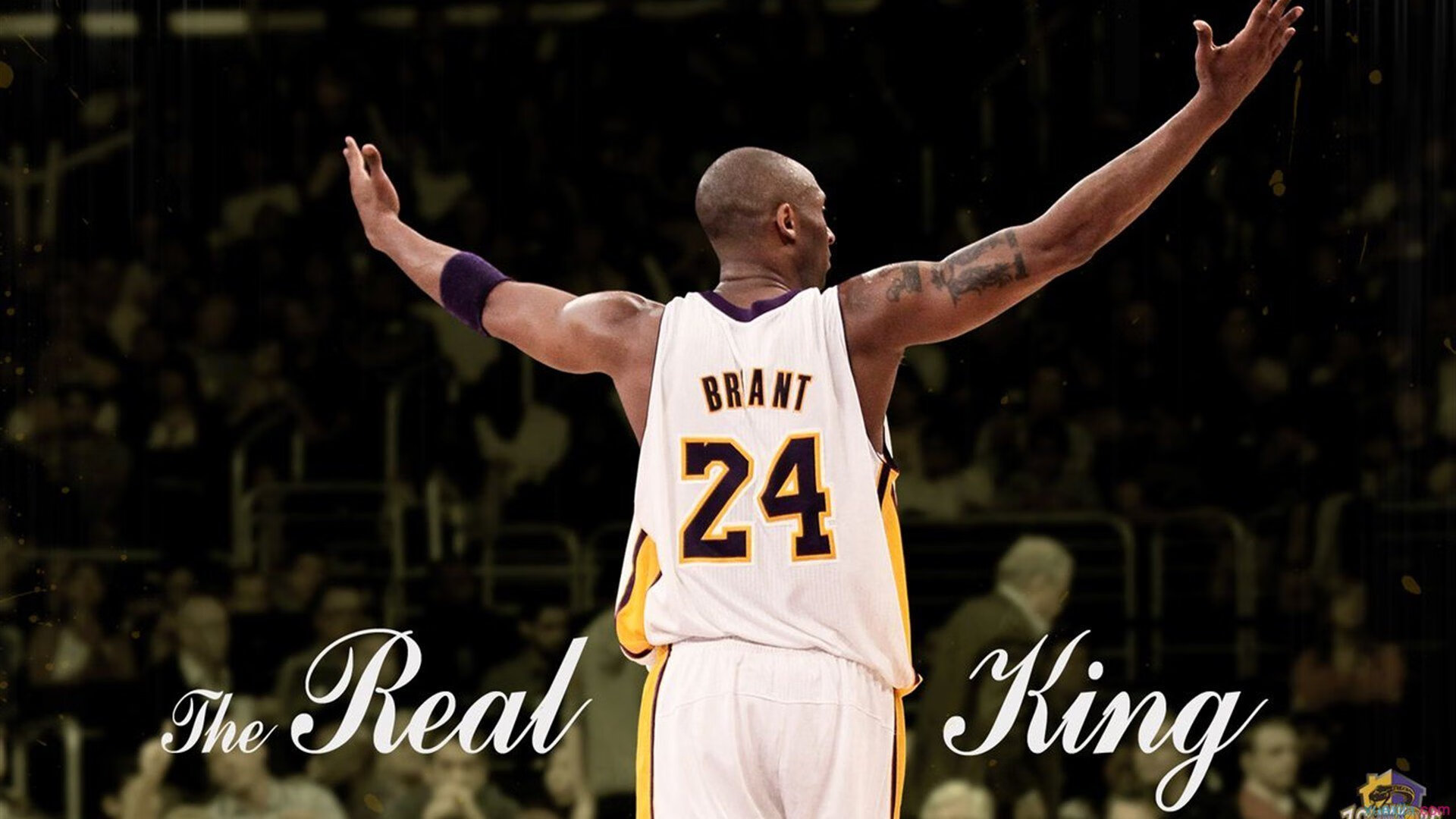 火箭全员通过新一轮体测展现良好竞技状态，火箭队试训